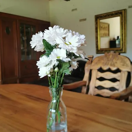 Pod Lipami * Zawady Oleckie