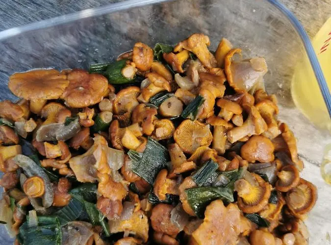 Willa Pod Lipami Zawady Oleckie