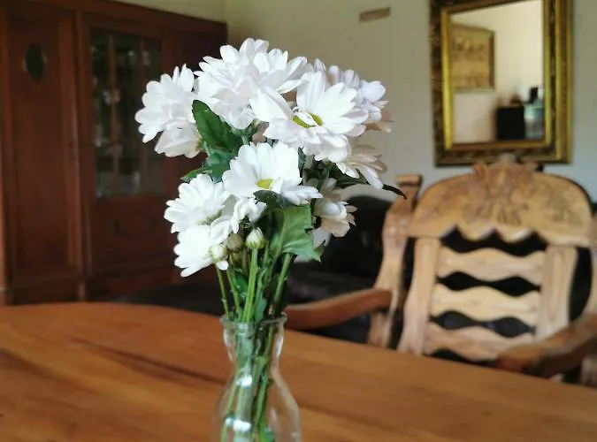 Pod Lipami * Zawady Oleckie