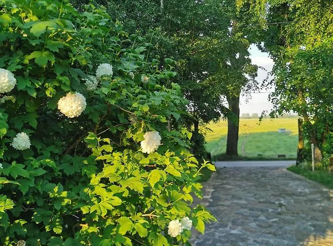 Pod Lipami * Zawady Oleckie