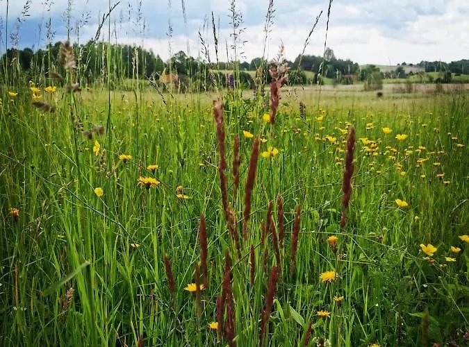 Pod Lipami Willa Zawady Oleckie